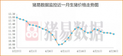 猪肉跌破15元上热搜 分析师：预计5月下旬拐