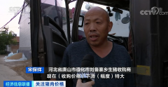 集中出栏！猪肉价格一路下行 稳“猪”！国