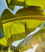 别被化妆品成分表难住！化妆品选购不盲目｜